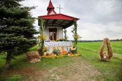 01-2022-09-04-Borowiany-Dozynki