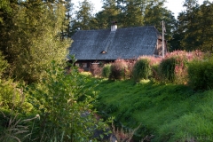 DSC_0034-4